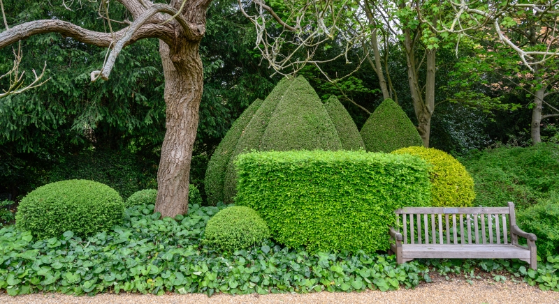 Trinity College Fellows' Garden